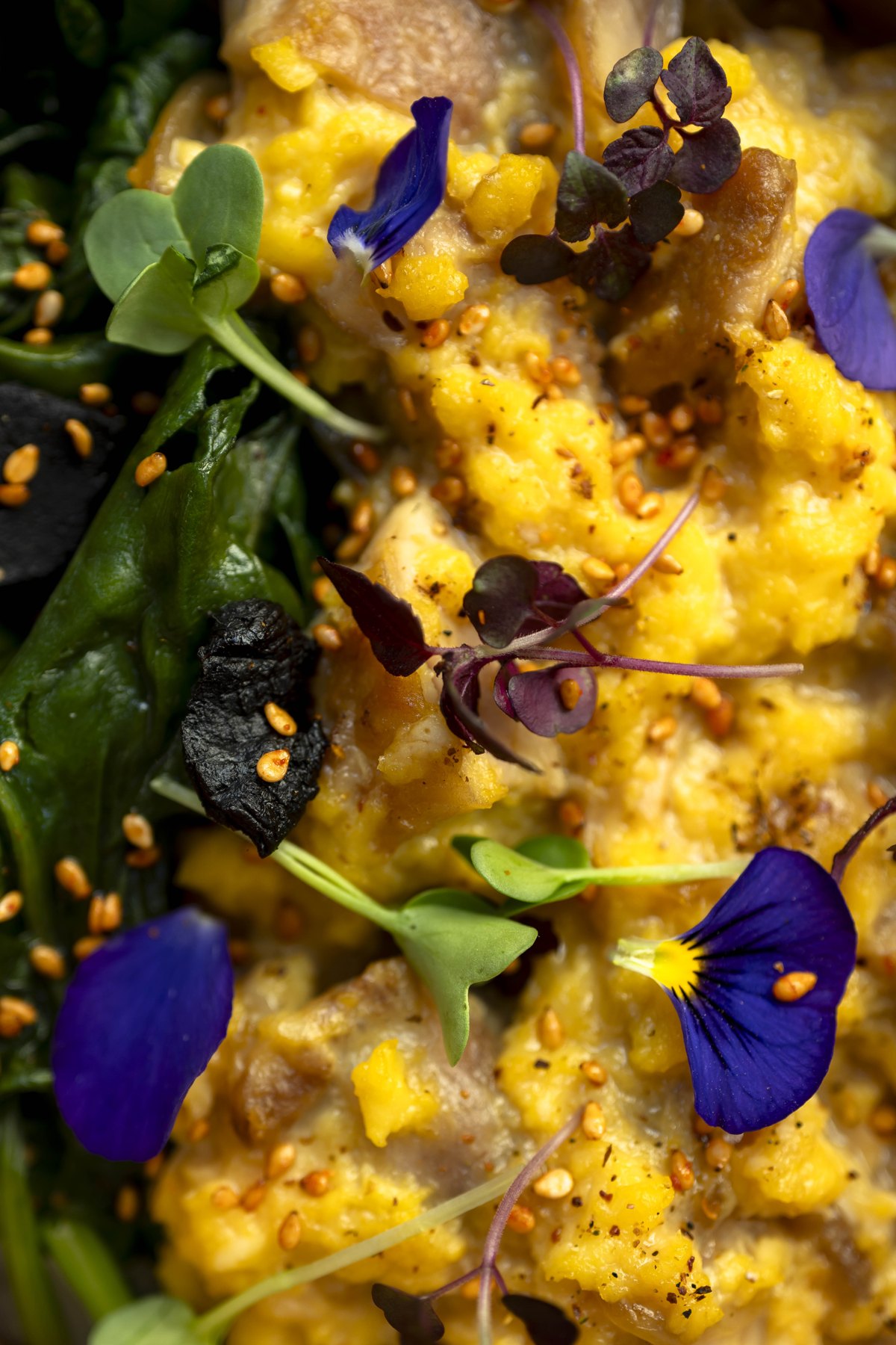 Plat de poisson dressé au café (photo d'illustration culinaire)